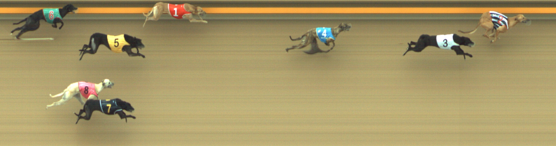 Photo finish for Geelong Race 9