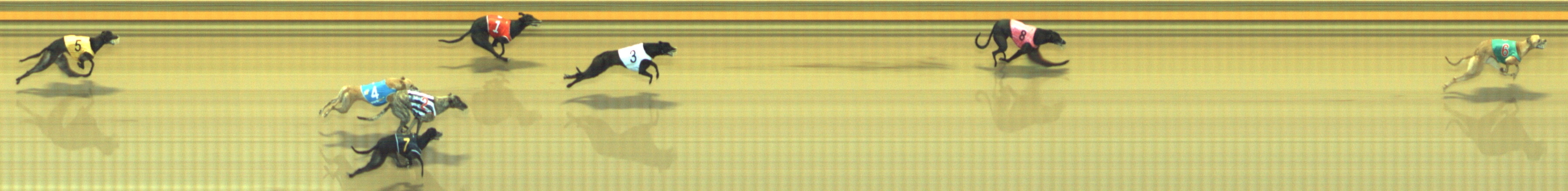 Photo finish for Geelong Race 10