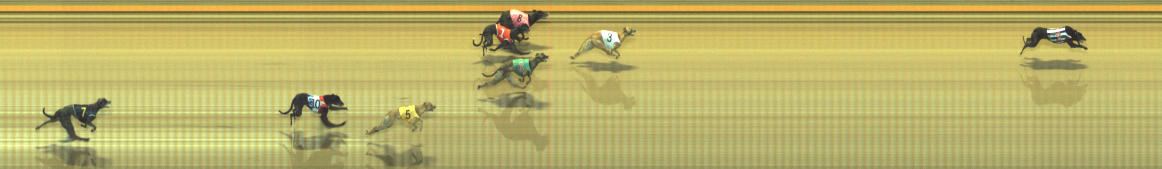 Photo finish for Geelong Race 11