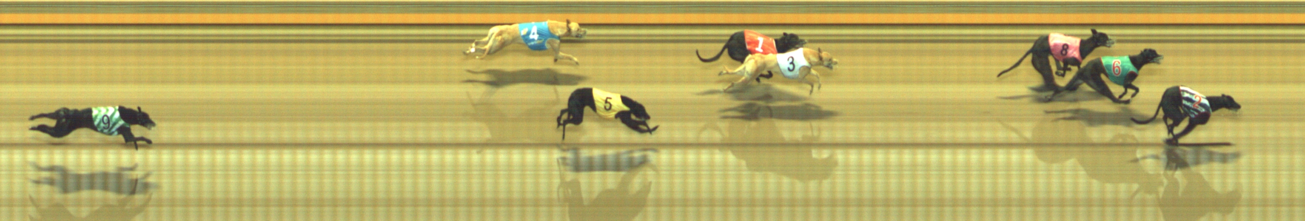Photo finish for Geelong Race 12