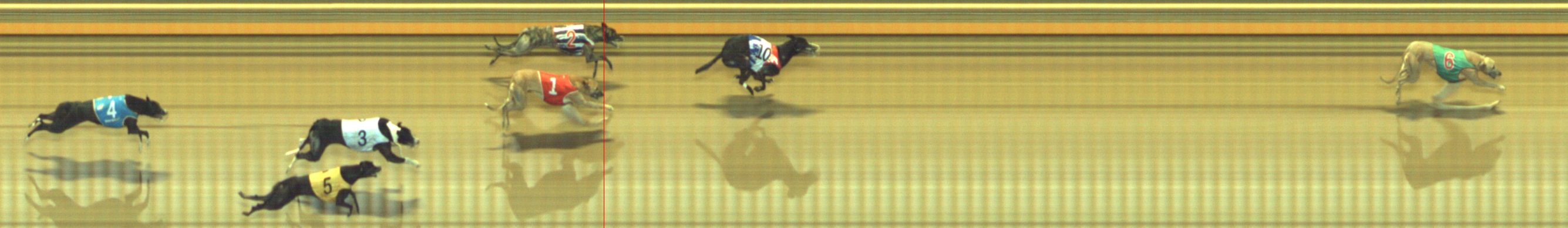 Photo finish for Geelong Race 13