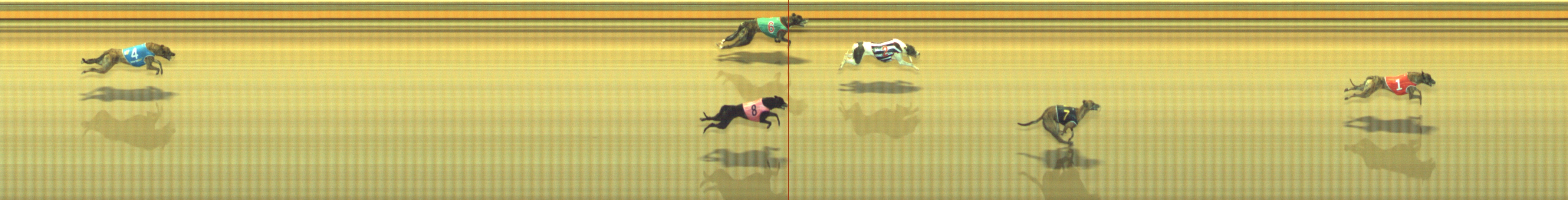 Photo finish for Geelong Race 2