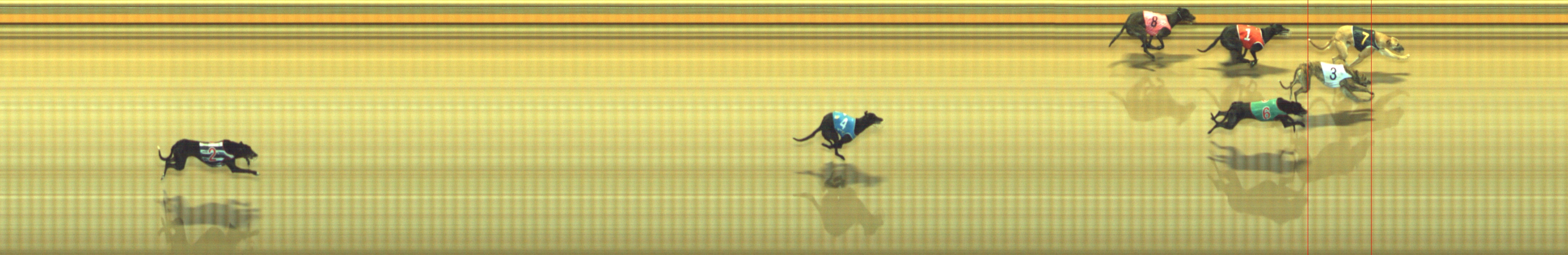 Photo finish for Geelong Race 3
