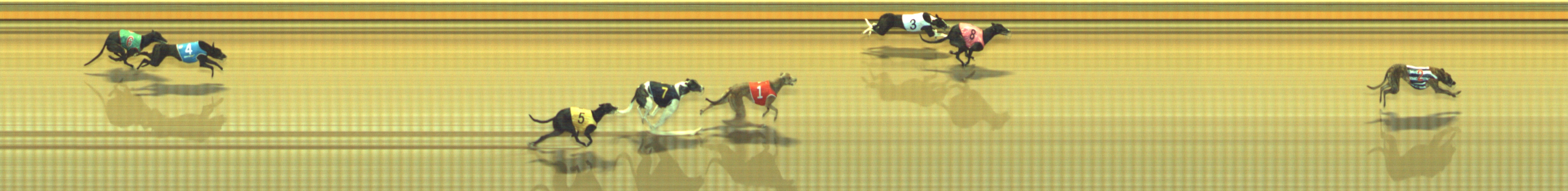 Photo finish for Geelong Race 4