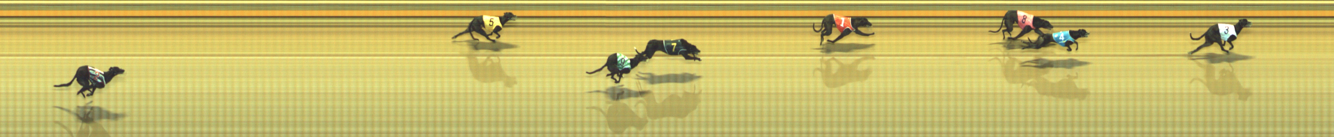 Photo finish for Geelong Race 5