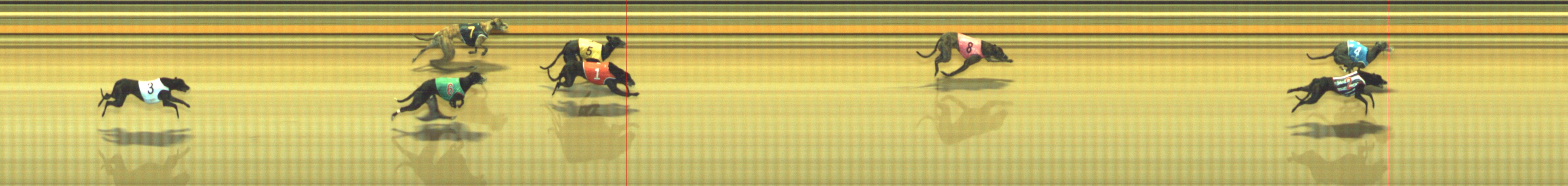 Photo finish for Geelong Race 6