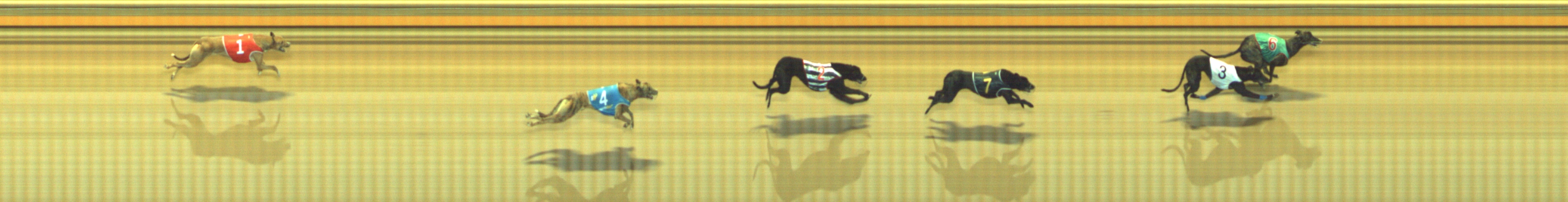 Photo finish for Geelong Race 7