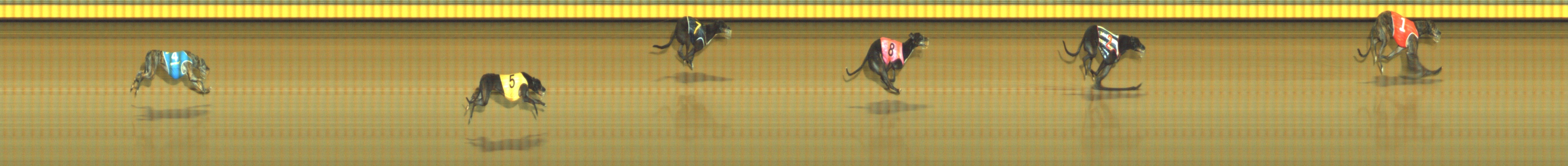 Photo finish for Geelong Race 9