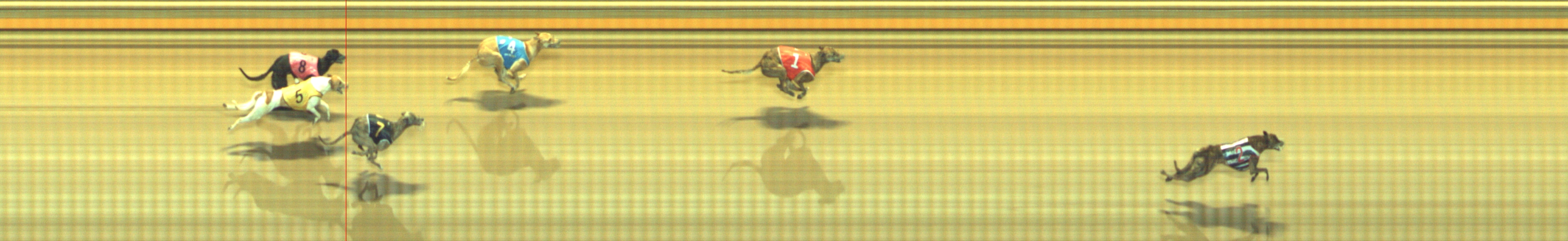 Photo finish for Geelong Race 11