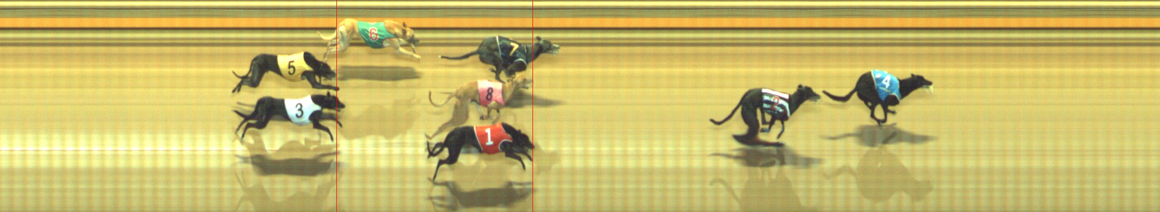 Photo finish for Geelong Race 12