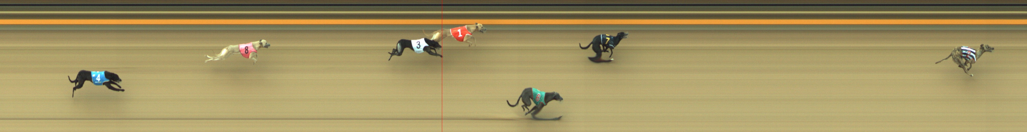 Photo finish for Geelong Race 1