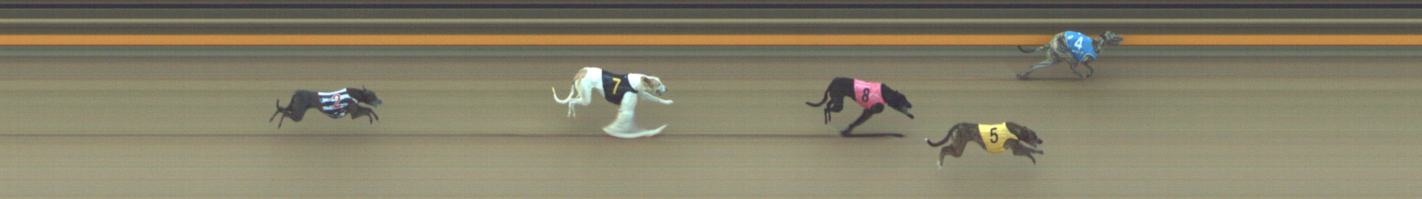 Photo finish for Geelong Race 2