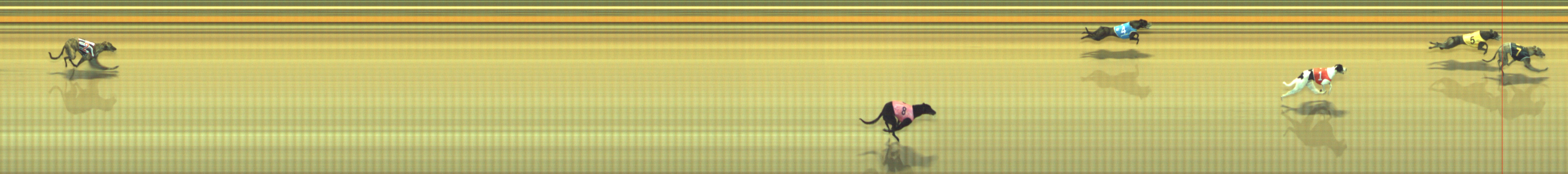 Photo finish for Geelong Race 3