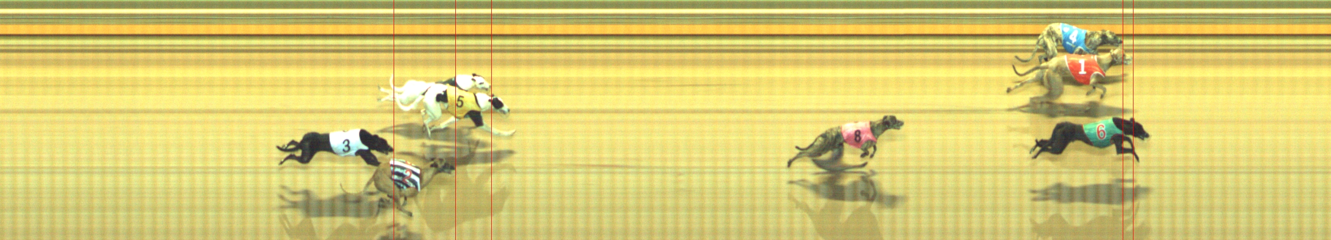 Photo finish for Geelong Race 4