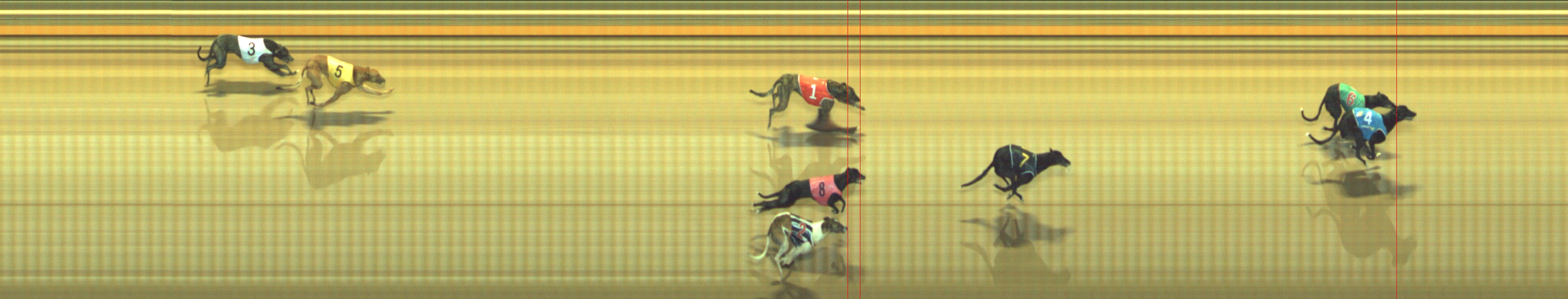 Photo finish for Geelong Race 5