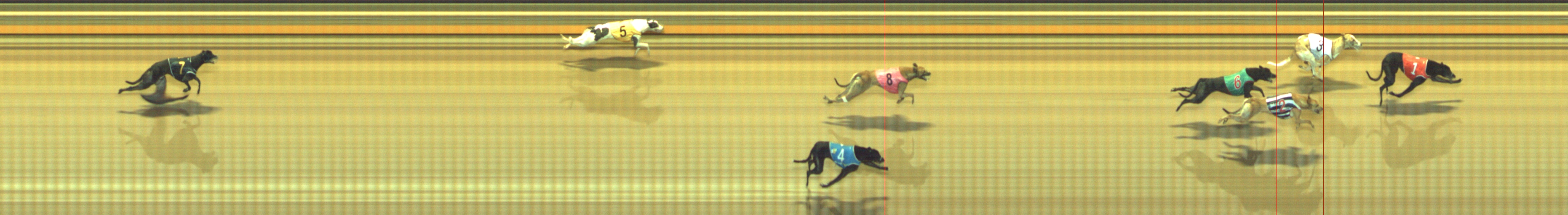 Photo finish for Geelong Race 6