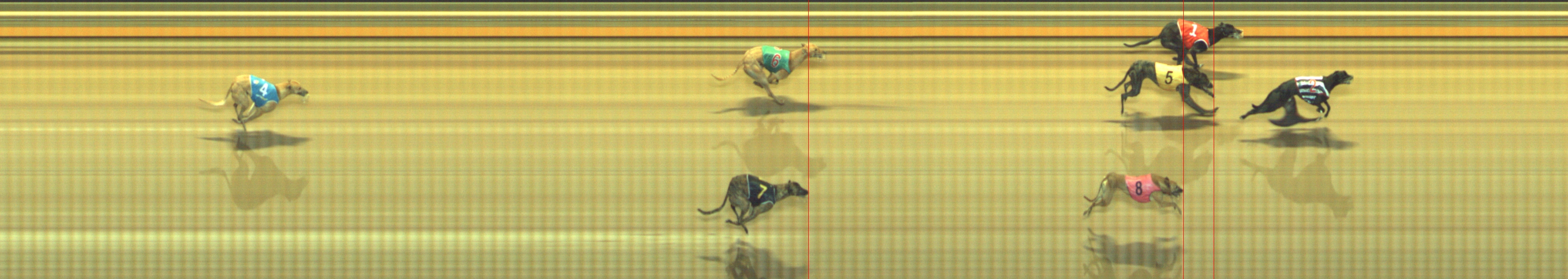 Photo finish for Geelong Race 7