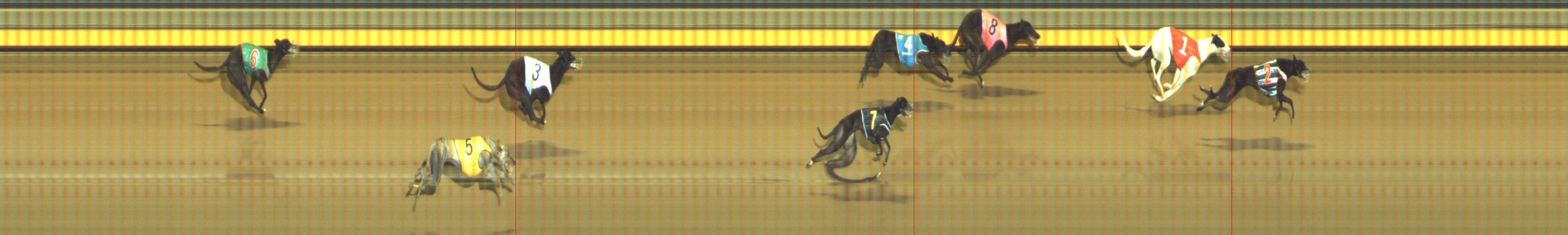 Photo finish for Geelong Race 8