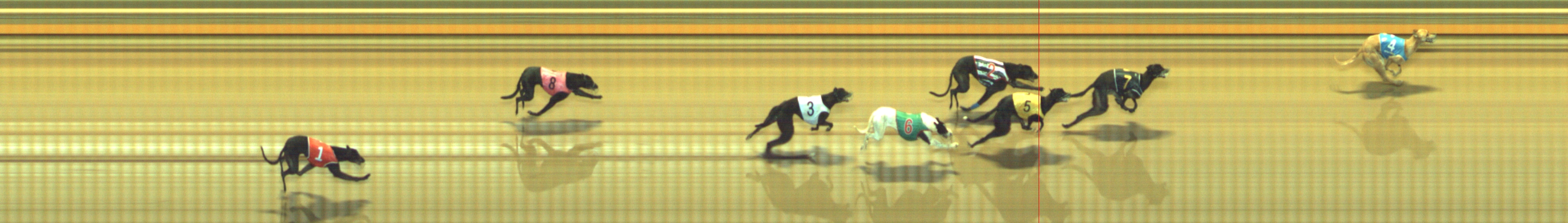 Photo finish for Geelong Race 10