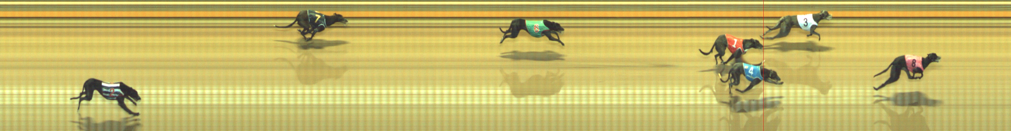 Photo finish for Geelong Race 11