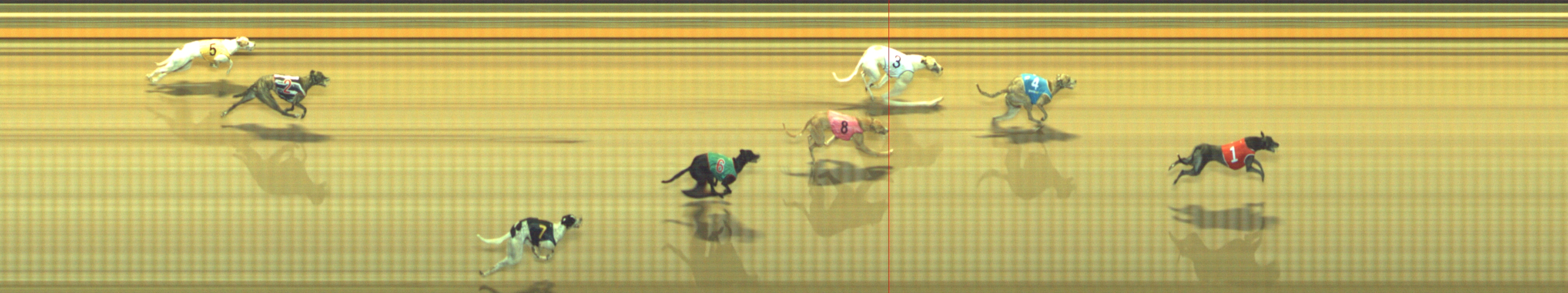 Photo finish for Geelong Race 12