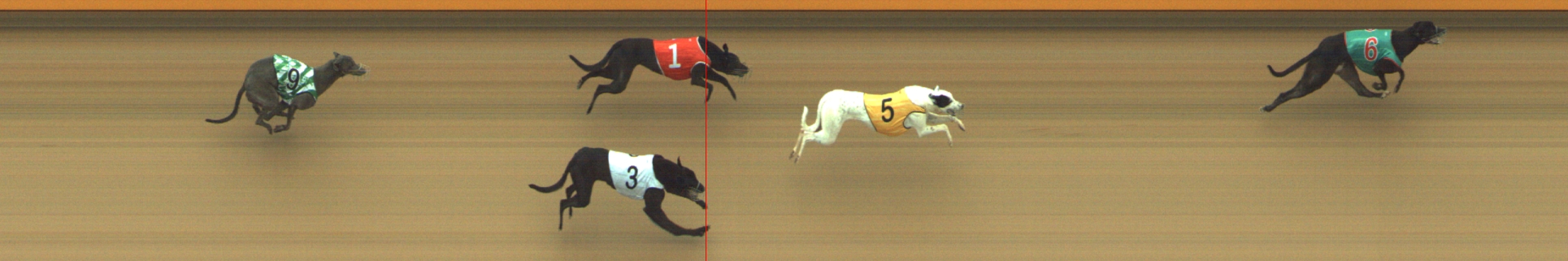Photo finish for Geelong Race 1
