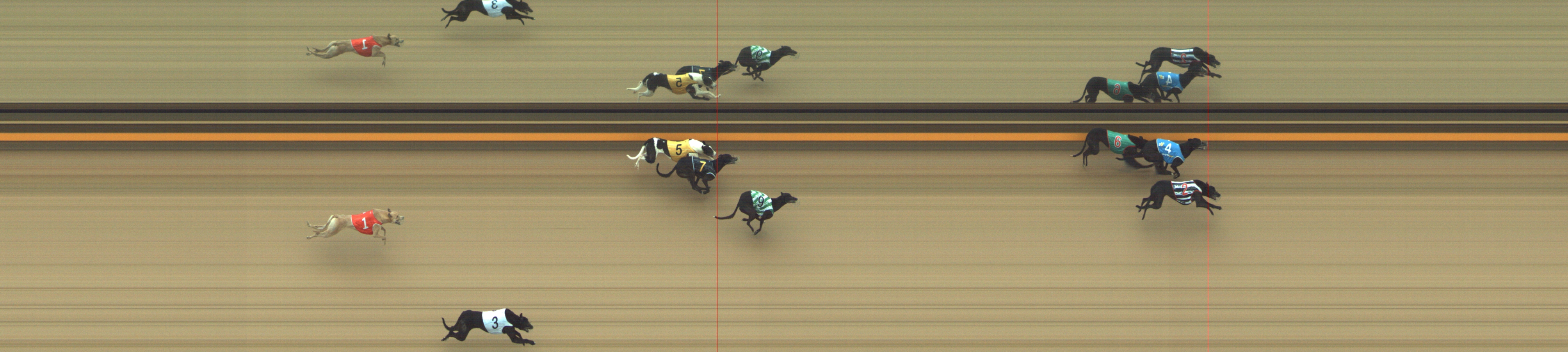 Photo finish for Geelong Race 2