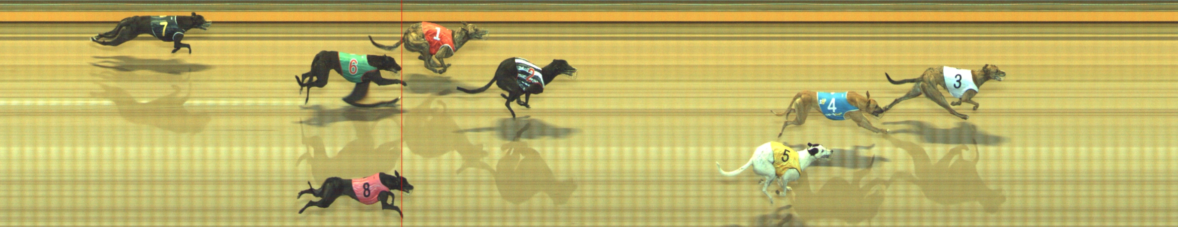 Photo finish for Geelong Race 3