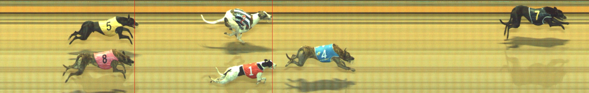 Photo finish for Geelong Race 4