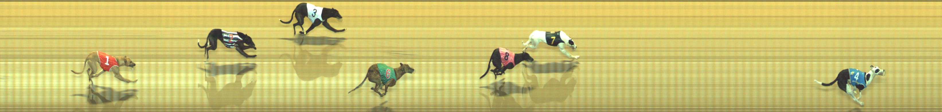Photo finish for Geelong Race 5