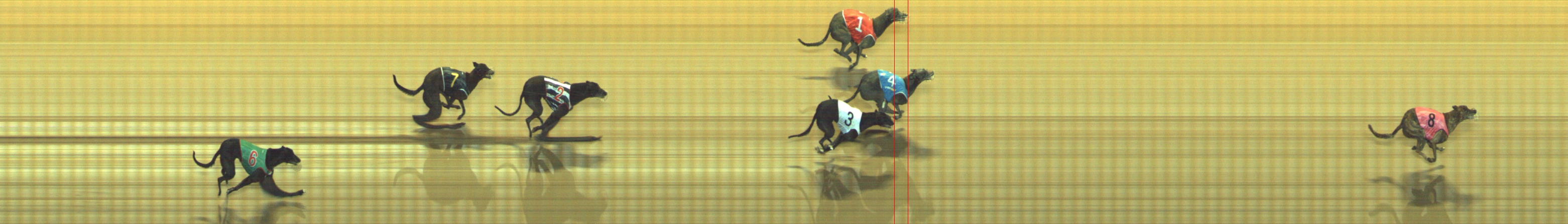 Photo finish for Geelong Race 6