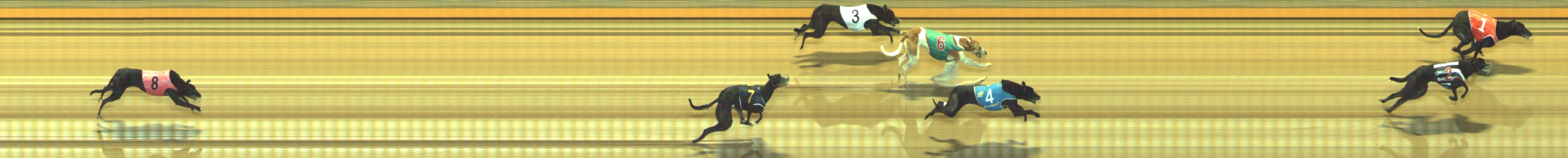 Photo finish for Geelong Race 7