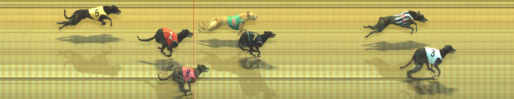 Photo finish for Geelong Race 8