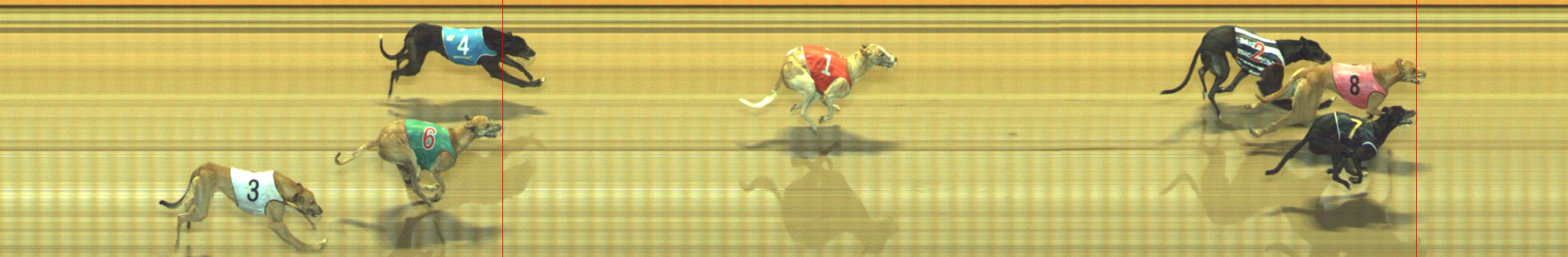 Photo finish for Geelong Race 9