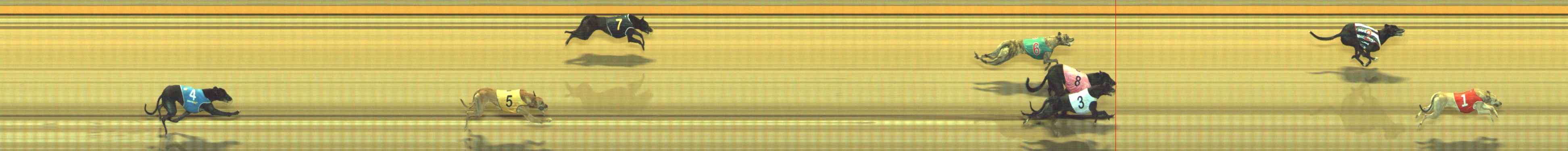 Photo finish for Geelong Race 10