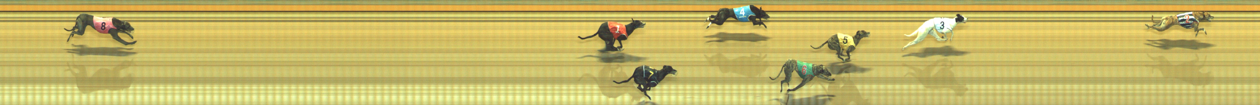 Photo finish for Geelong Race 11