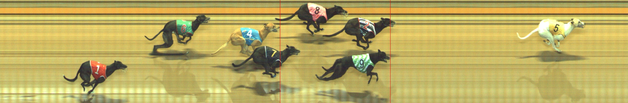 Photo finish for Geelong Race 12