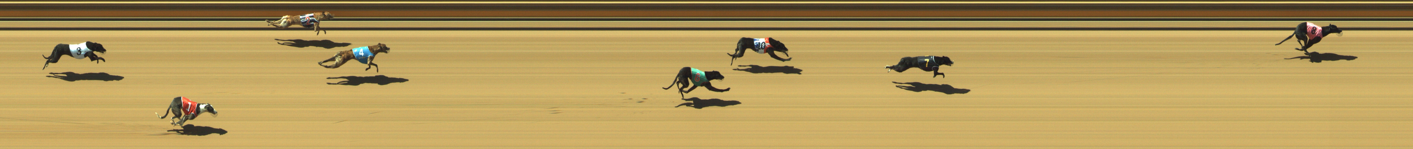 Photo finish for Geelong Race 2