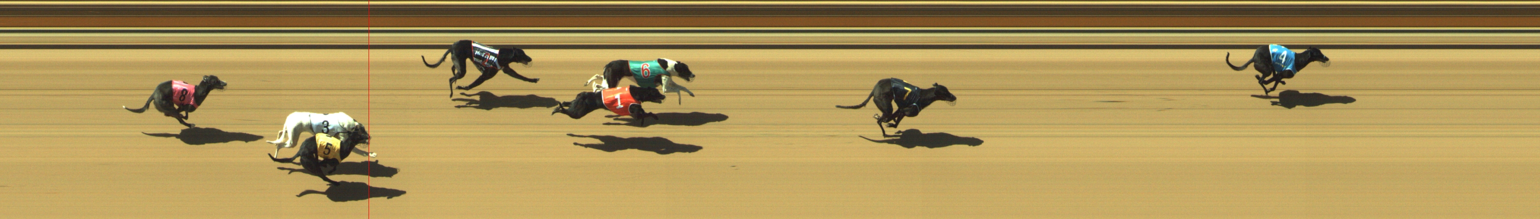 Photo finish for Geelong Race 3