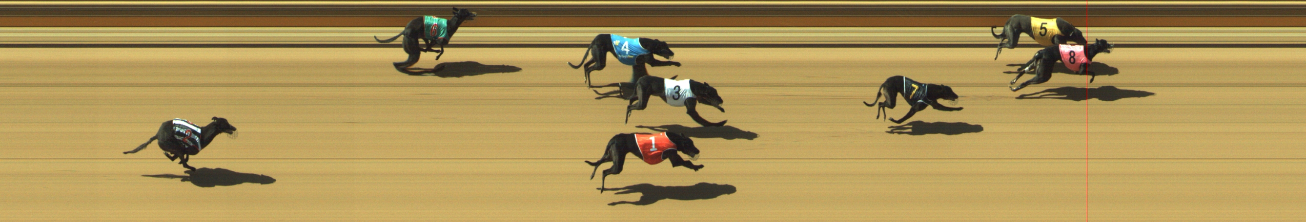 Photo finish for Geelong Race 4