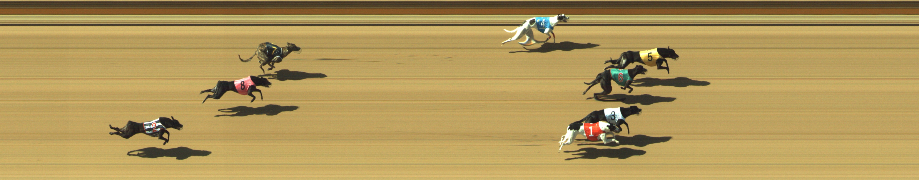 Photo finish for Geelong Race 5