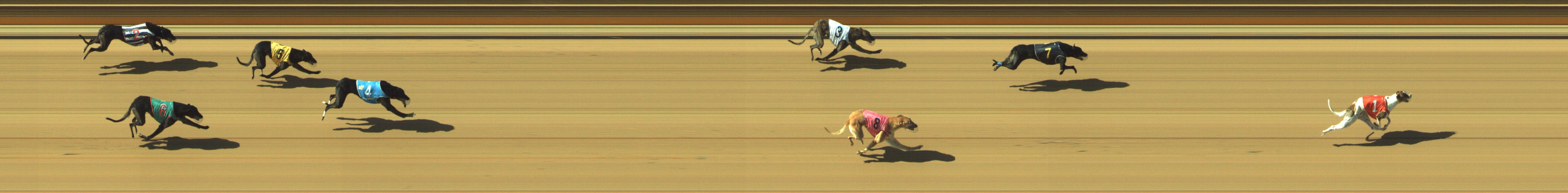 Photo finish for Geelong Race 6