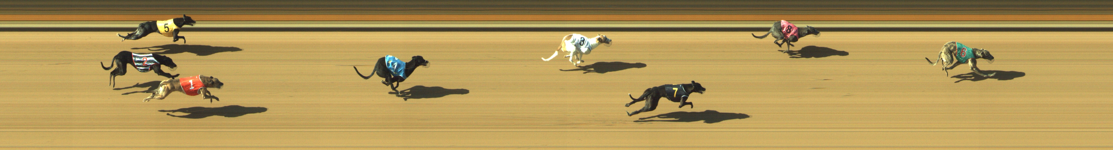 Photo finish for Geelong Race 7