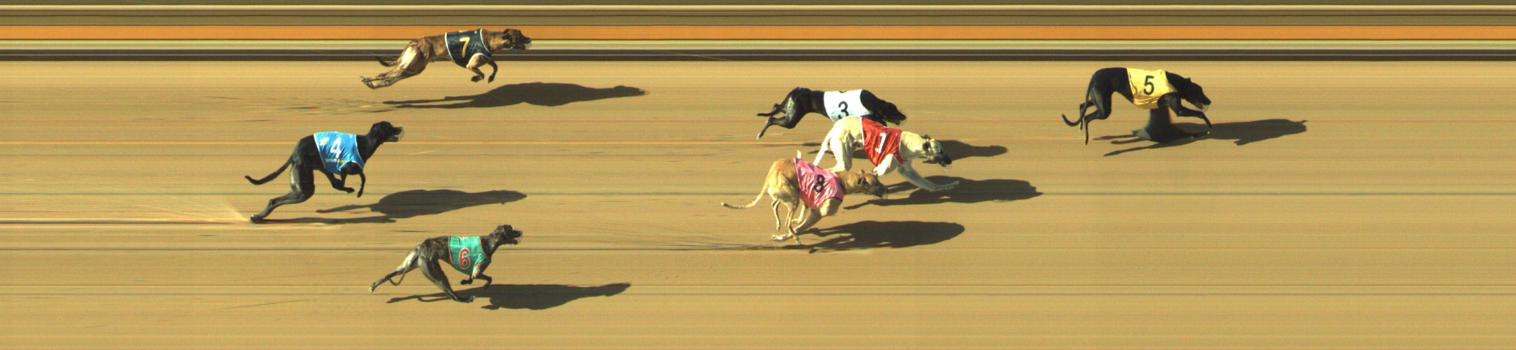 Photo finish for Geelong Race 8