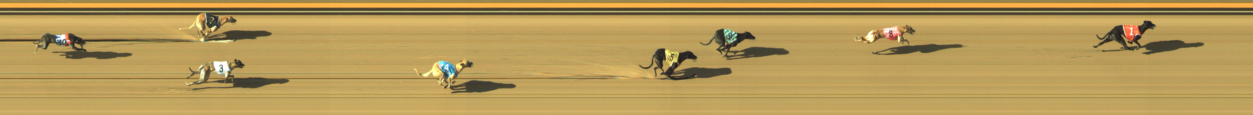 Photo finish for Geelong Race 9
