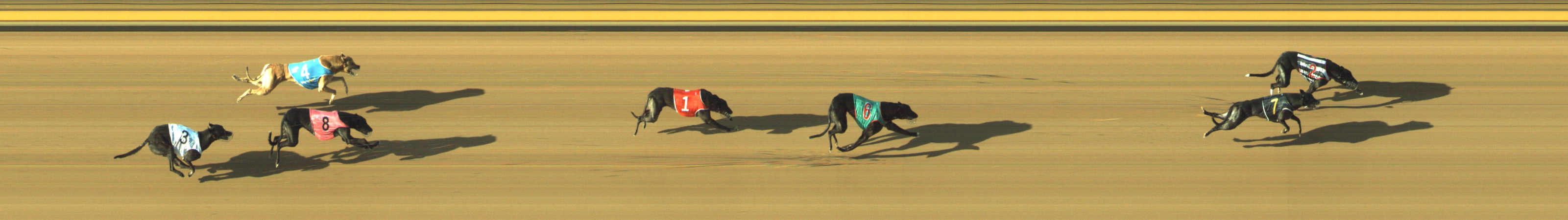 Photo finish for Geelong Race 10