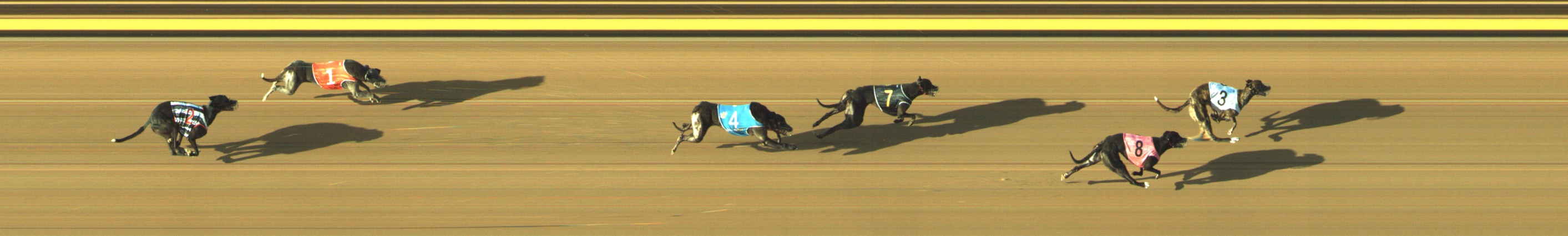 Photo finish for Geelong Race 11