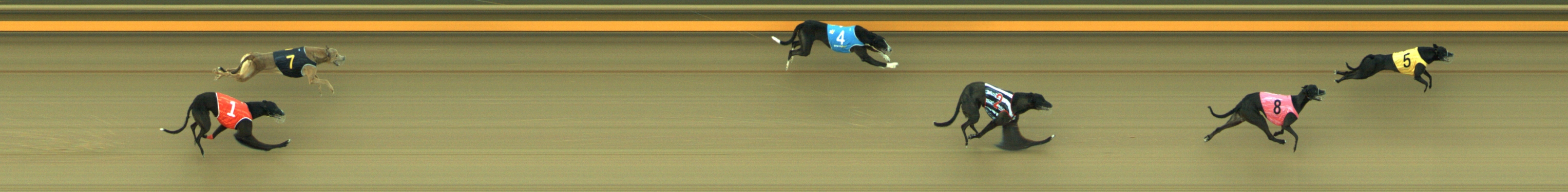 Photo finish for Geelong Race 2