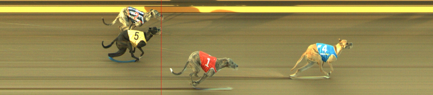 Photo finish for Geelong Race 3
