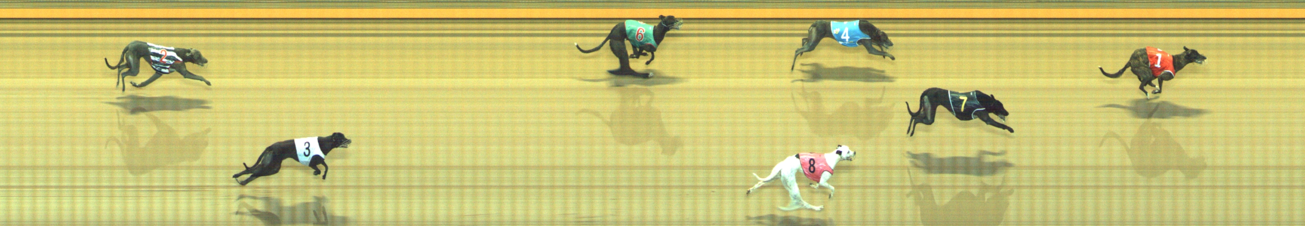 Photo finish for Geelong Race 5